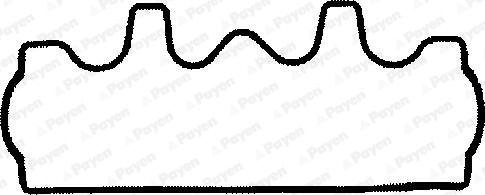 Payen JP041 - Guarnizione, Copritestata autozon.pro