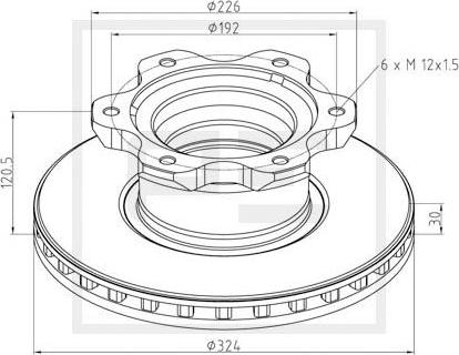 PE Automotive 016.661-00A - Discofreno autozon.pro