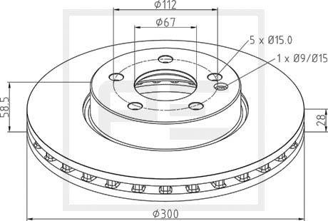 PE Automotive 016.674-00A - Discofreno autozon.pro