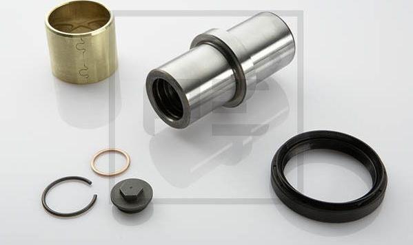 PE Automotive 011.340-00A - Kit riparazione, Perno fuso a snodo autozon.pro