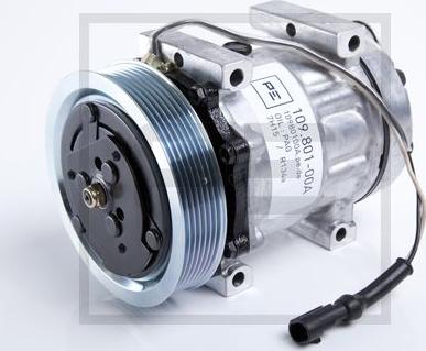 PE Automotive 109.801-00A - Compressore, Climatizzatore autozon.pro