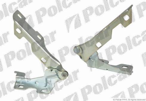 Polcar 601503-5 - Cerniera, Cofano motore autozon.pro