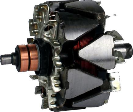 PowerMax 1113970 - Rotore, Alternatore autozon.pro