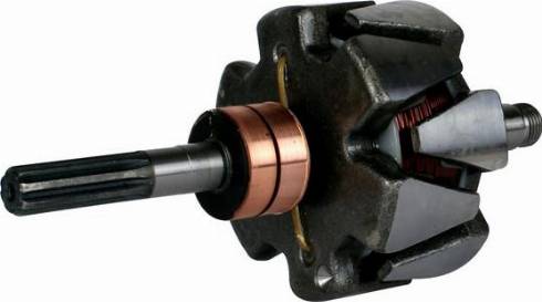 PowerMax 81110580 - Rotore, Alternatore autozon.pro