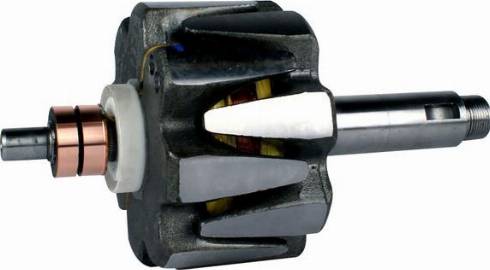 PowerMax 81111960 - Rotore, Alternatore autozon.pro