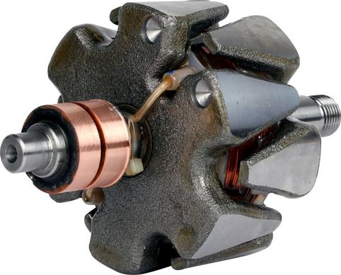 PowerMax 81113025 - Rotore, Alternatore autozon.pro