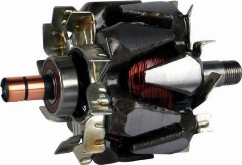 PowerMax 81113169 - Rotore, Alternatore autozon.pro