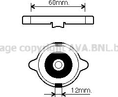 Prasco 980015 - Tappo, radiatore autozon.pro