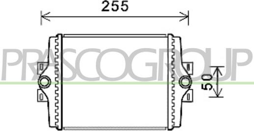 Prasco BM123R002 - Radiatore, Raffreddamento motore autozon.pro