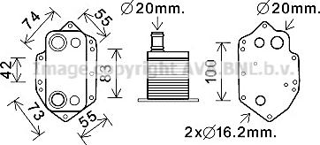 Prasco BW3554 - Radiatore olio, Olio motore autozon.pro