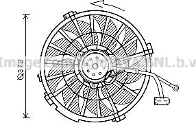 Prasco PE7555 - Ventola, Raffreddamento motore autozon.pro