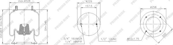 Prime-Ride 1R12-716 - Soffietto, Sospensione pneumatica autozon.pro