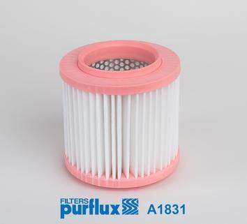 Purflux A1831 - Filtro aria autozon.pro