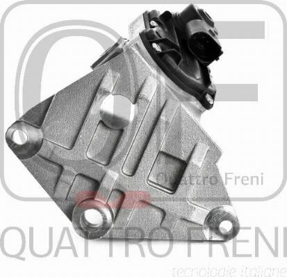 Quattro Freni QF47A00066 - Valvola ricircolo gas scarico-EGR autozon.pro