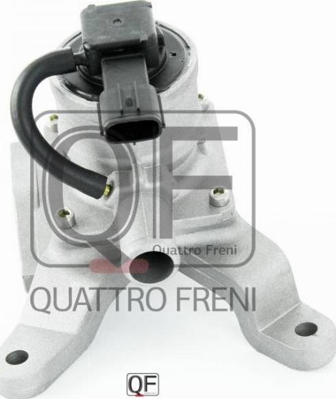 Quattro Freni QF47A00068 - Valvola ricircolo gas scarico-EGR autozon.pro