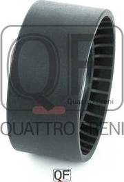 Quattro Freni QF00100253 - Galoppino / Guidacinghia, Cinghia Poly-V autozon.pro