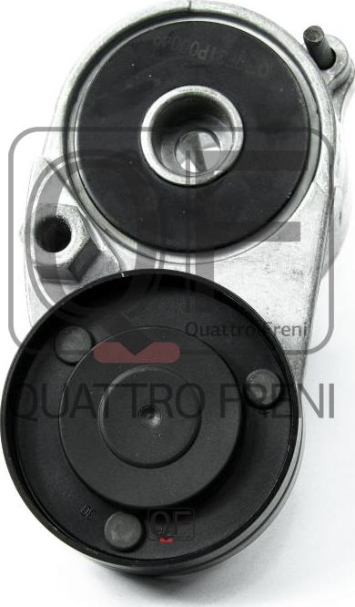 Quattro Freni QF31P00049 - Tendicinghia, Cinghia Poly-V autozon.pro