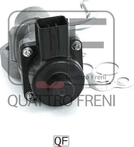 Quattro Freni QF28A00019 - Valvola ricircolo gas scarico-EGR autozon.pro