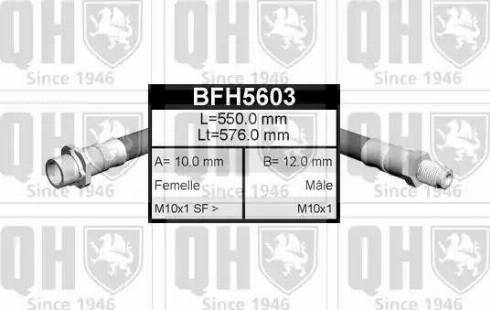 Quinton Hazell BFH5603 - Flessibile del freno autozon.pro