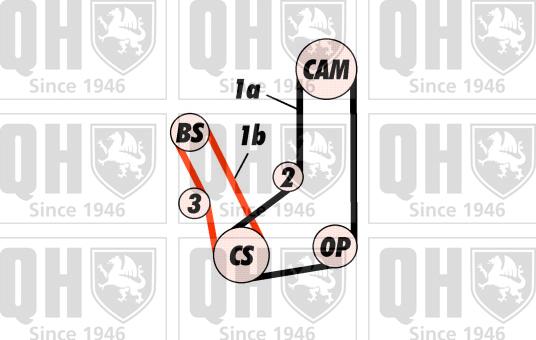 Quinton Hazell QBK416 - Kit cinghie dentate autozon.pro