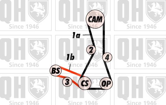 Quinton Hazell QBK535 - Kit cinghie dentate autozon.pro