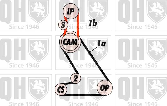 Quinton Hazell QBK119 - Kit cinghie dentate autozon.pro