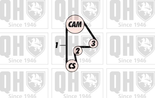 Quinton Hazell QBK389 - Kit cinghie dentate autozon.pro