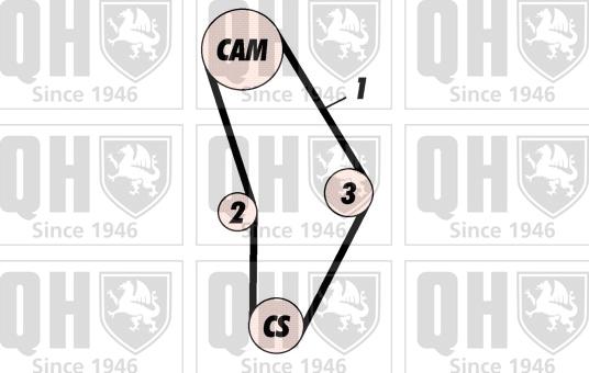 Quinton Hazell QBK287 - Kit cinghie dentate autozon.pro