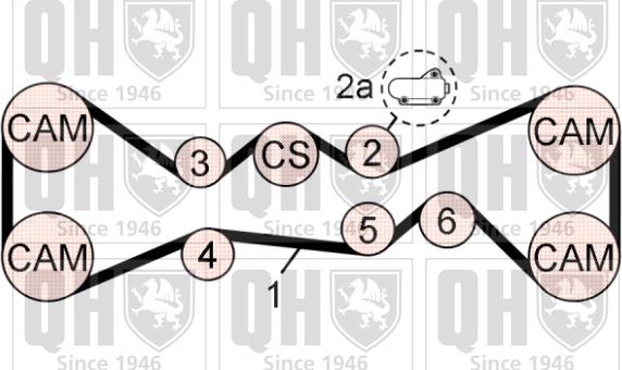 Quinton Hazell QBK771 - Kit cinghie dentate autozon.pro