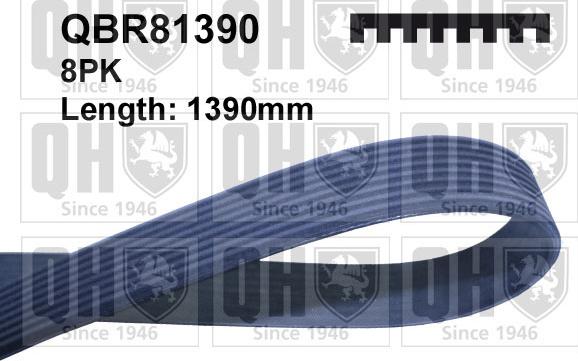 Quinton Hazell QBR81390 - Cinghia Poly-V autozon.pro