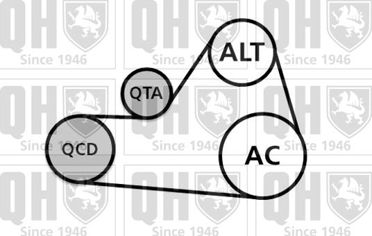 Quinton Hazell QDK109 - Kit Cinghie Poly-V autozon.pro