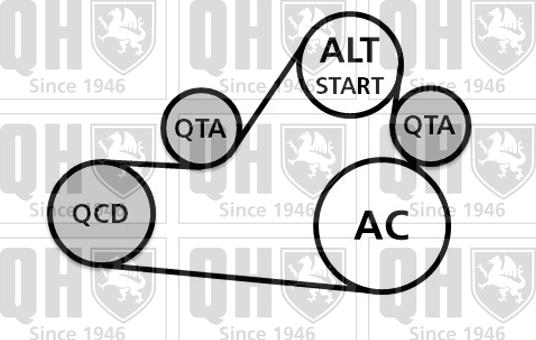 Quinton Hazell QDK103 - Kit Cinghie Poly-V autozon.pro