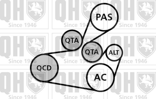 Quinton Hazell QDK110 - Kit Cinghie Poly-V autozon.pro
