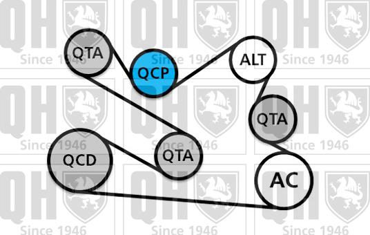 Quinton Hazell QDK136 - Kit Cinghie Poly-V autozon.pro