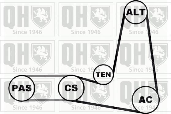 Quinton Hazell QDK1 - Kit Cinghie Poly-V autozon.pro