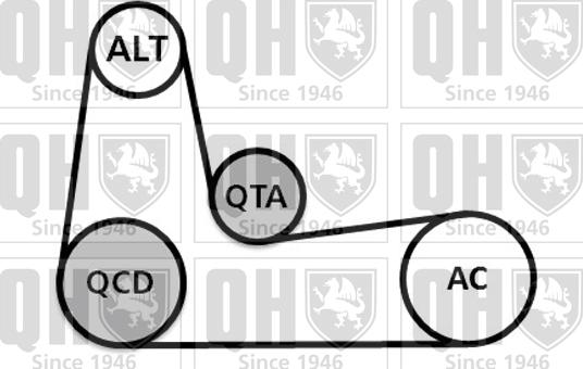 Quinton Hazell QDK89 - Kit Cinghie Poly-V autozon.pro