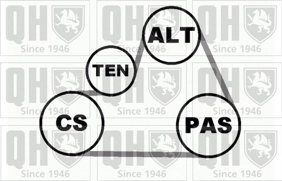 Quinton Hazell QDK28 - Kit Cinghie Poly-V autozon.pro
