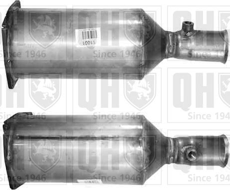 Quinton Hazell QDPF11001 - Filtro antiparticolato / particellare, Impianto gas scarico autozon.pro