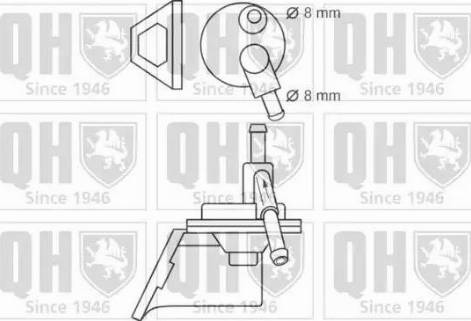 Quinton Hazell QFP6 - Pompa carburante autozon.pro