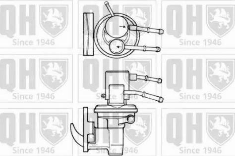 Quinton Hazell QFP310 - Pompa carburante autozon.pro