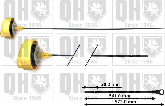 Quinton Hazell QOD146 - Asta controllo livello olio autozon.pro