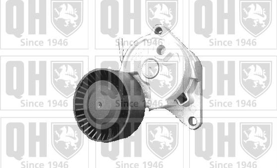 Quinton Hazell QTA1059 - Tendicinghia, Cinghia Poly-V autozon.pro