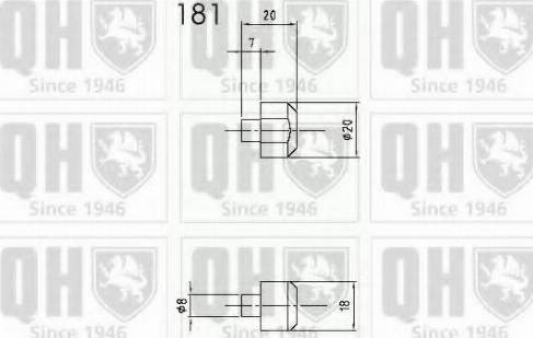 Quinton Hazell QTS840296 - Ammortizzatore pneumatico, Cofano motore autozon.pro