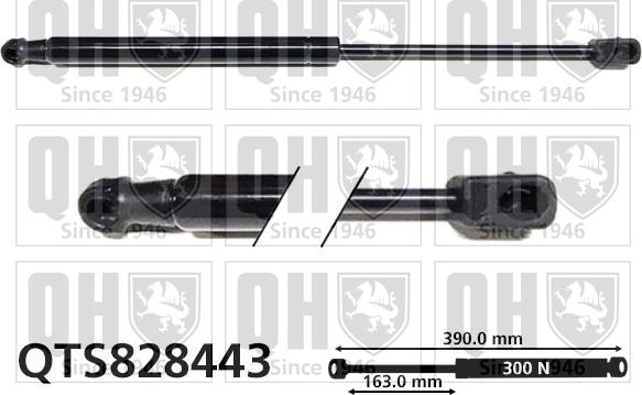 Quinton Hazell QTS828443 - Ammortizzatore pneumatico, Cofano motore autozon.pro