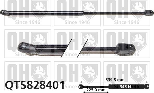 Quinton Hazell QTS828401 - Ammortizatore pneumatico, Cofano bagagli / vano carico autozon.pro