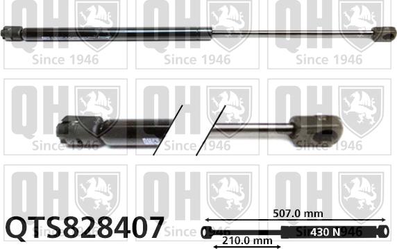 Quinton Hazell QTS828407 - Ammortizatore pneumatico, Cofano bagagli / vano carico autozon.pro