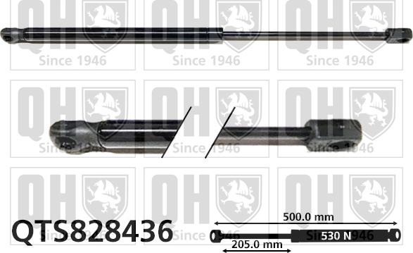 Quinton Hazell QTS828436 - Ammortizatore pneumatico, Cofano bagagli / vano carico autozon.pro