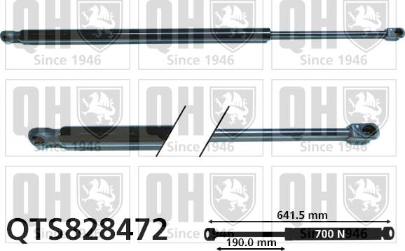 Quinton Hazell QTS828472 - Ammortizatore pneumatico, Cofano bagagli / vano carico autozon.pro