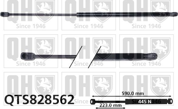 Quinton Hazell QTS828562 - Ammortizatore pneumatico, Cofano bagagli / vano carico autozon.pro