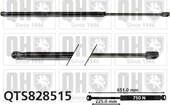 Quinton Hazell QTS828515 - Ammortizatore pneumatico, Cofano bagagli / vano carico autozon.pro